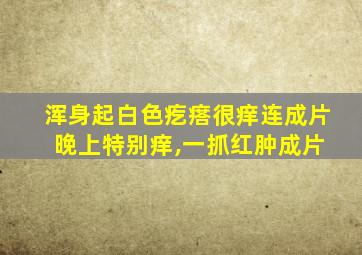 浑身起白色疙瘩很痒连成片 晚上特别痒,一抓红肿成片